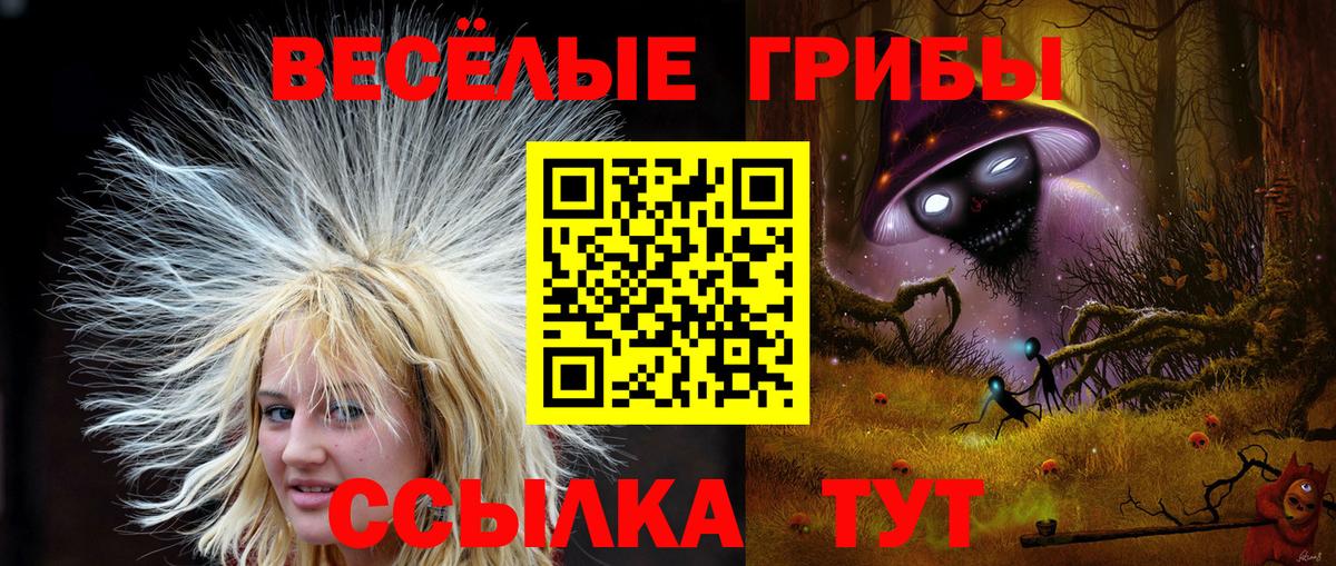 Бошки Шишки  Вход с VPN  Гашиш  Орехово-Зуево  Меф  Меф кристаллы 