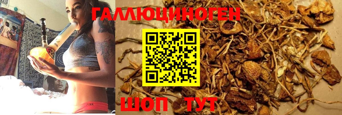 Галлюциногенные грибы Psilocybine cubensis  Вход с VPN  купить закладку  Галлюциногенные грибы Cubensis  Орехово-Зуево 